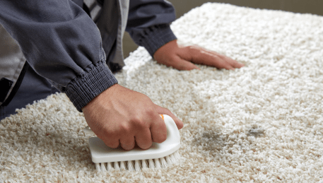 Professional Rug Cleaning Parkville